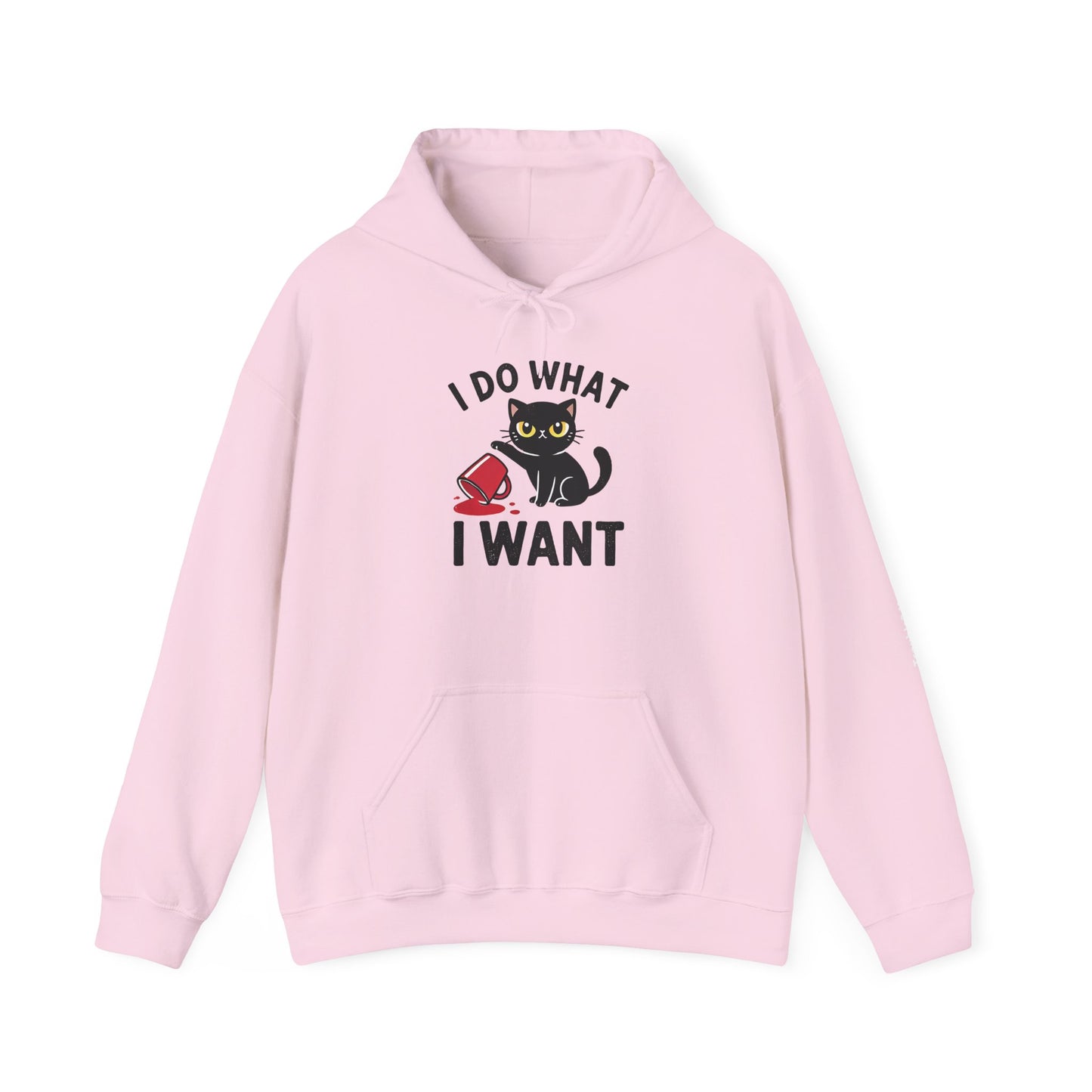 I Do What I Want Hoodie