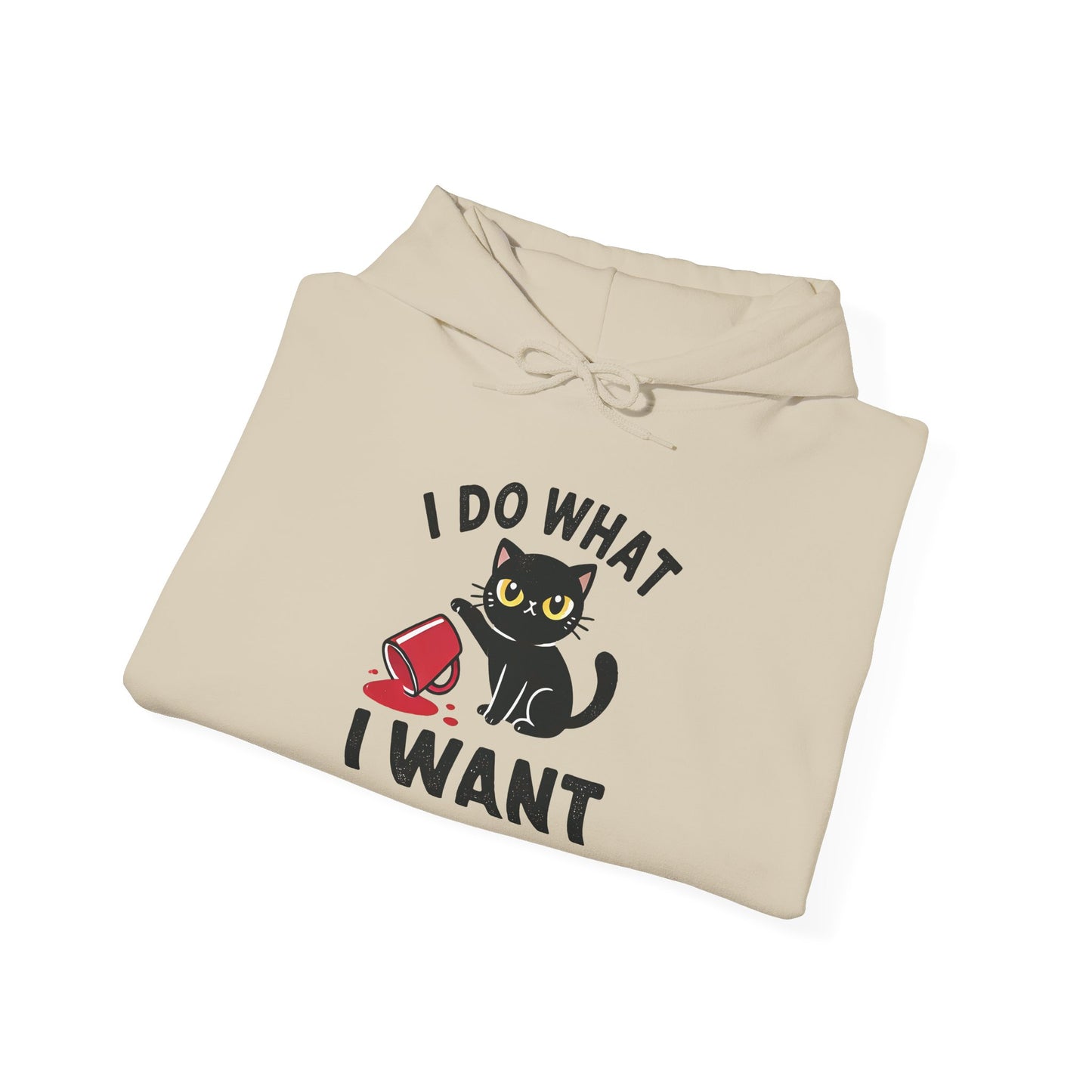 I Do What I Want Hoodie