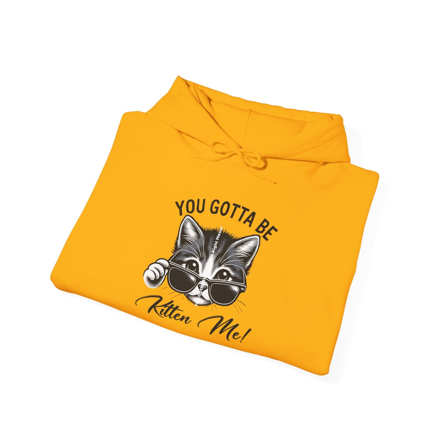 You Gotta Be Kitten Me Right Meow Hoodie