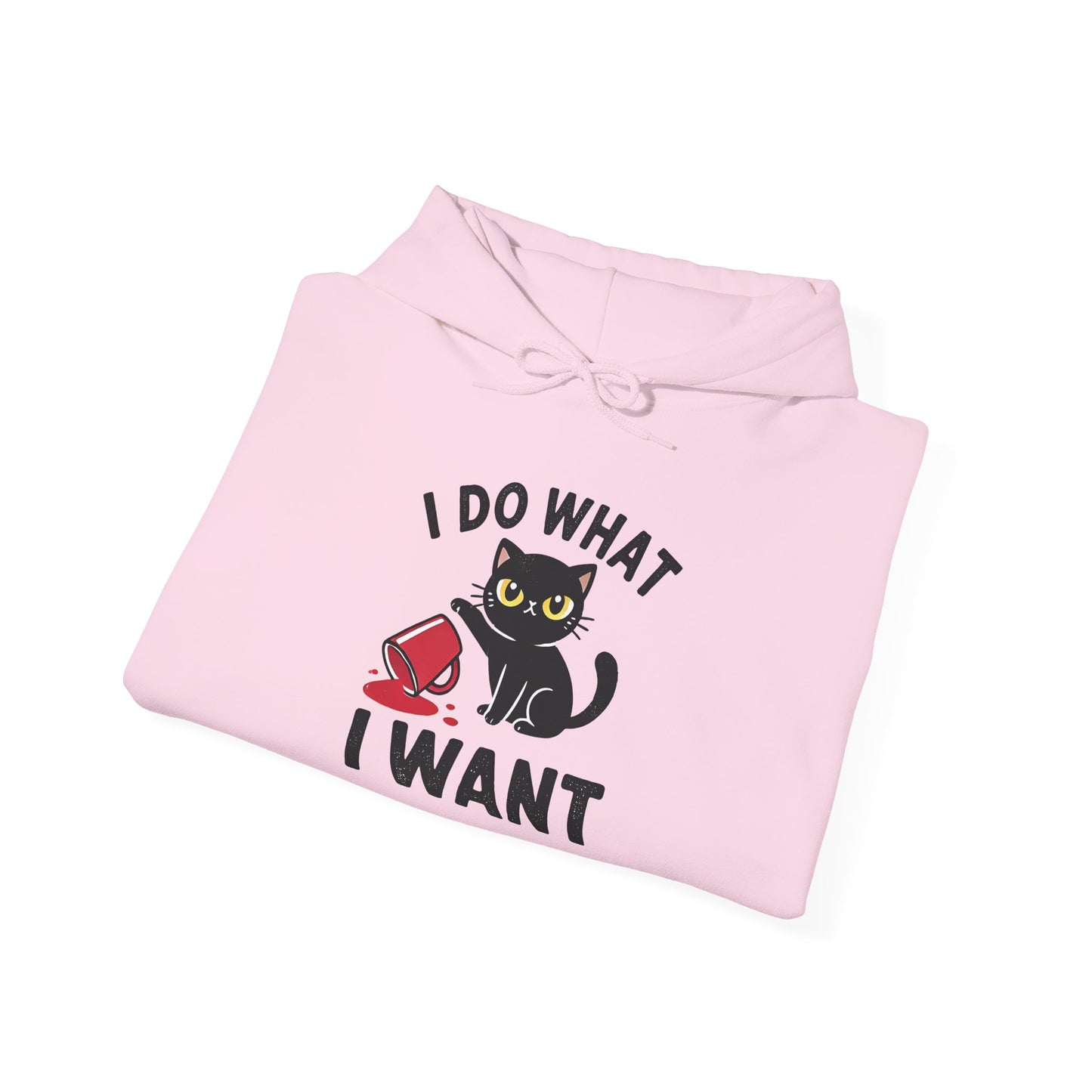 I Do What I Want Hoodie