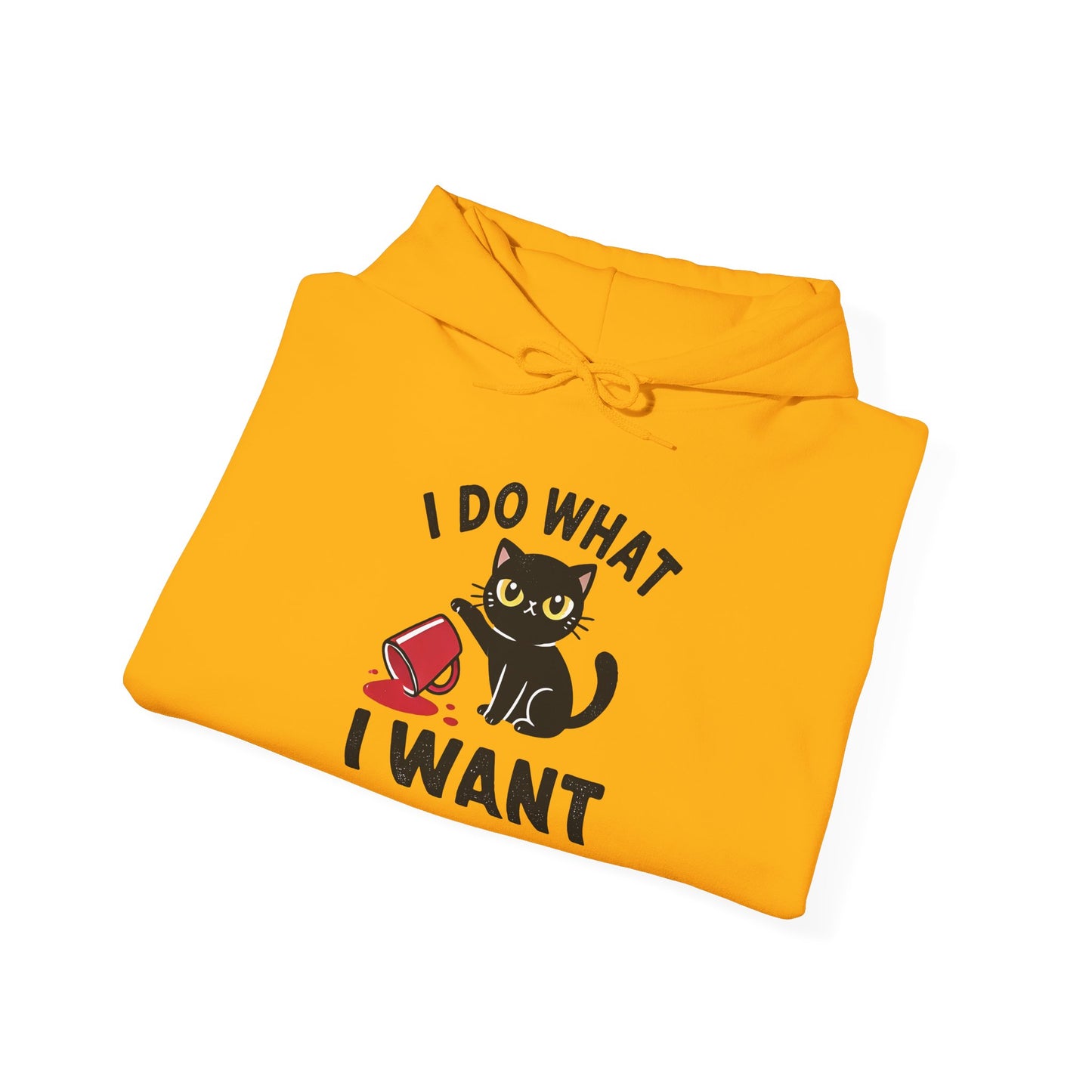 I Do What I Want Hoodie