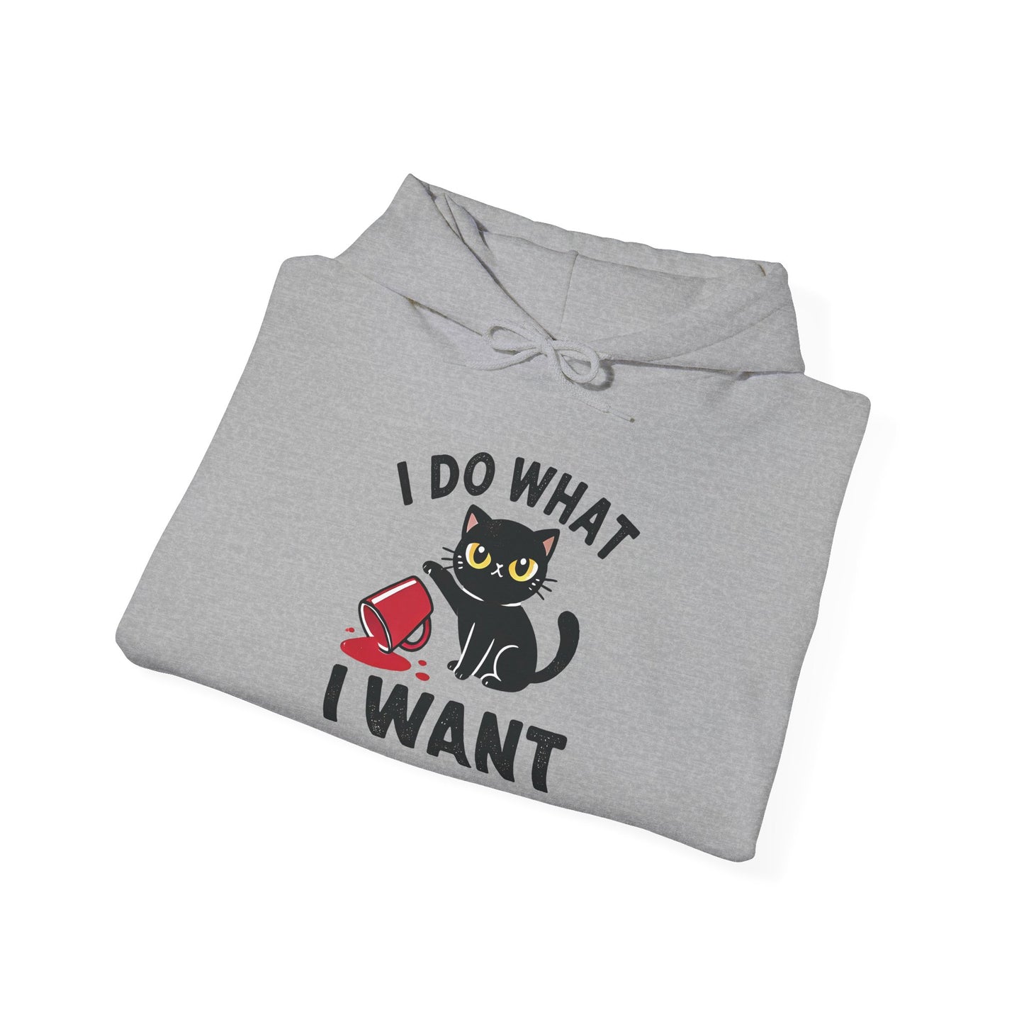 I Do What I Want Hoodie