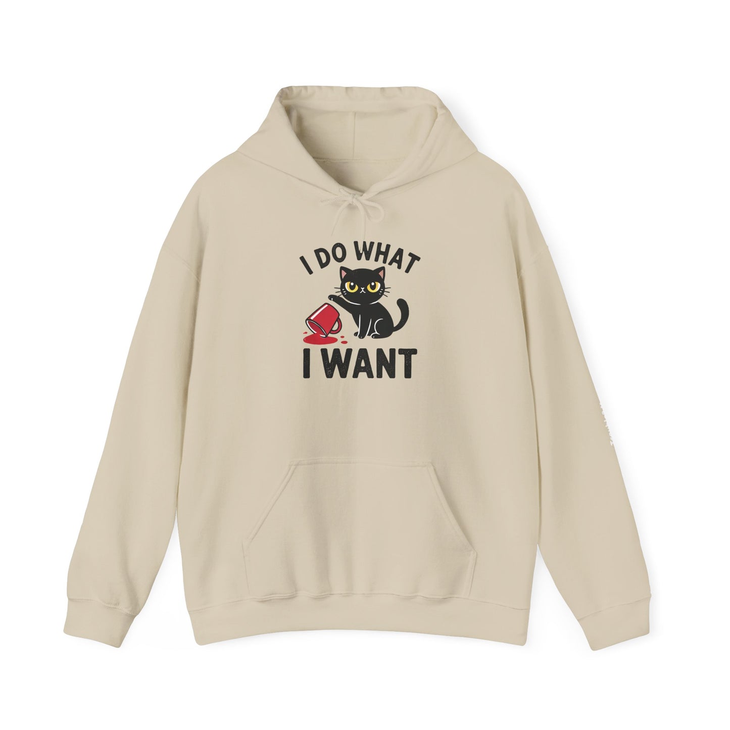 I Do What I Want Hoodie