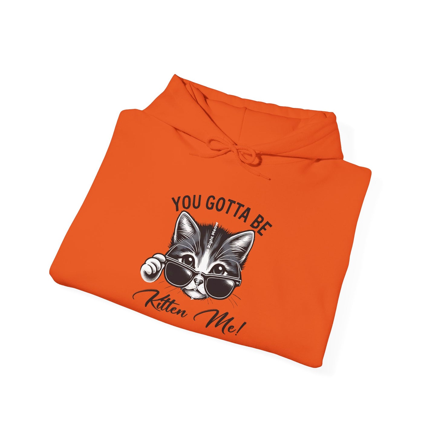 You Gotta Be Kitten Me Right Meow Hoodie