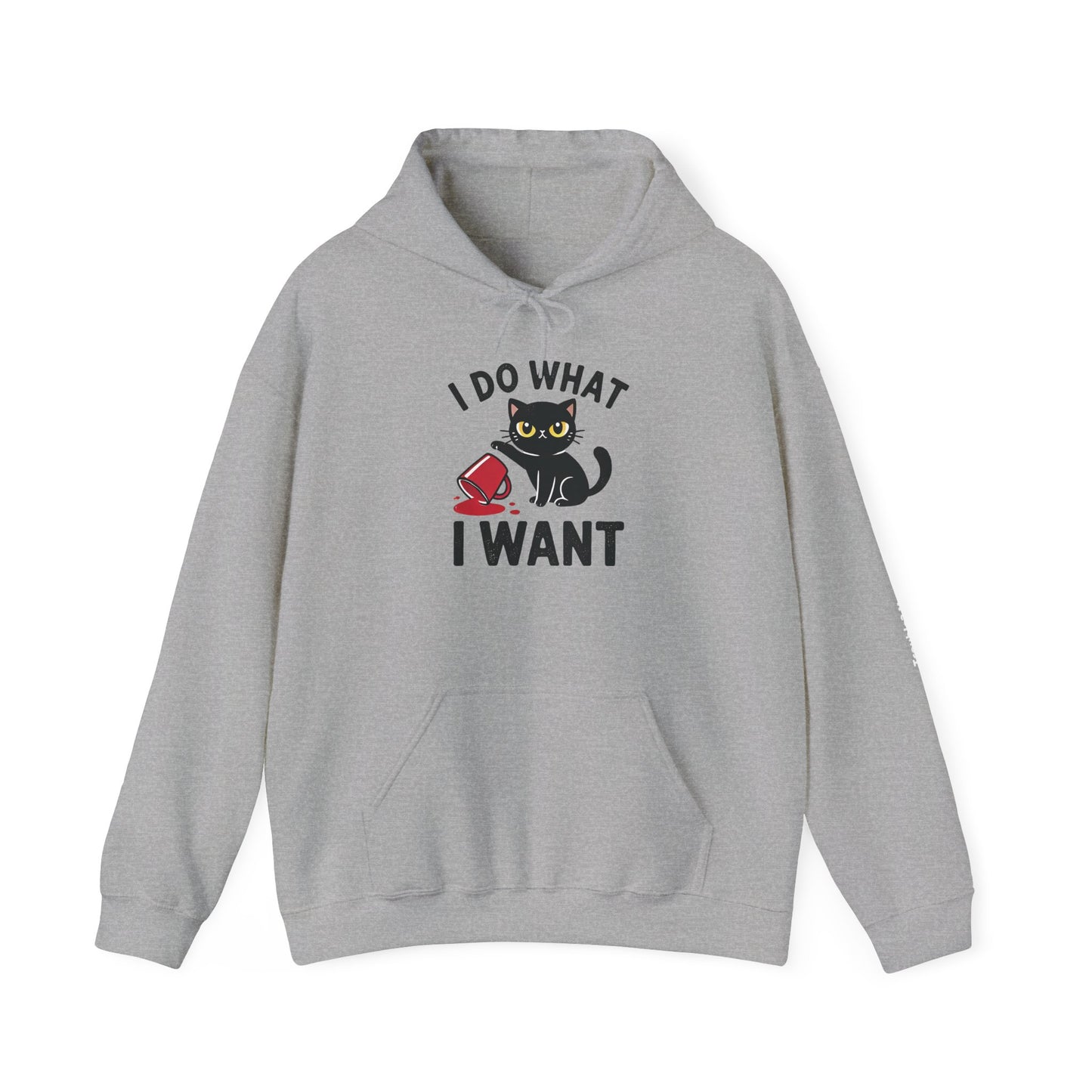 I Do What I Want Hoodie